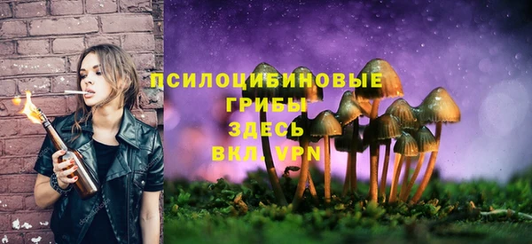 ПСИЛОЦИБИНОВЫЕ ГРИБЫ Саяногорск