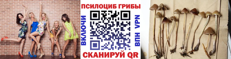 Галлюциногенные грибы мицелий  Печоры 