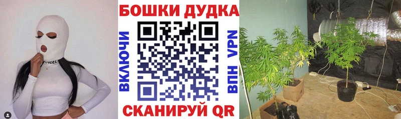 Марихуана AK-47  купить наркотики сайты  Печоры 